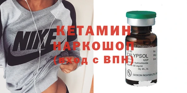 шишки Гусиноозёрск