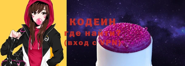 шишки Гусиноозёрск