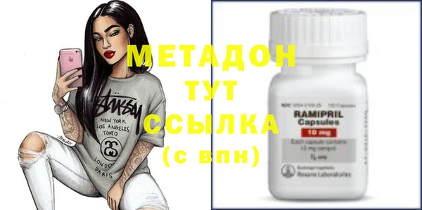 шишки Гусиноозёрск