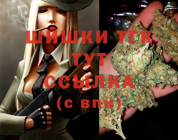 шишки Гусиноозёрск