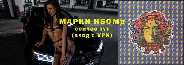 шишки Гусиноозёрск