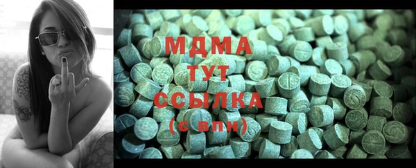 шишки Гусиноозёрск
